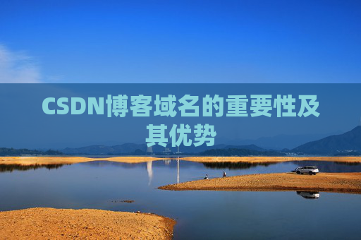 CSDN博客域名的重要性及其优势
